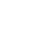 Show by the Happenings Cast Icon